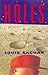 Holes (Thorndike Press Large Print Literacy Bridge Series)