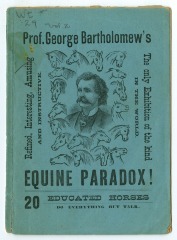 The Equine Paradox! Can You Solve It? (Paperback)