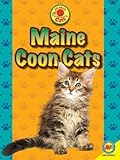 Maine Coon Cats