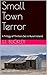 Small Town Terror: A Trilogy of Thrillers Set in Rural Ireland