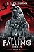 The Ten (Last Light Falling #3)