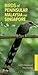 Birds of Peninsular Malaysia and Singapore (Pocket Photo Guides)