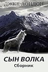 Сын Волка