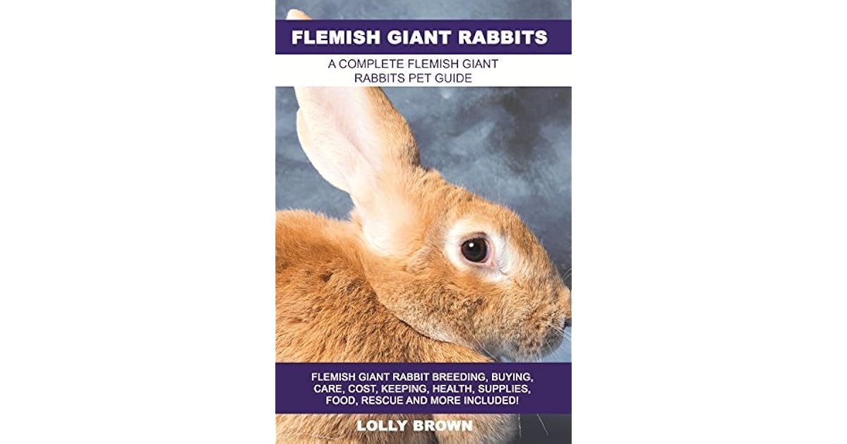 rabbit breeding supplies