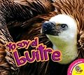 Yo soy el Buitre / I am a Vulture