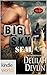 Big Sky SEAL (Brotherhood P...