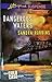 Dangerous Waters (The Cold Case Files)