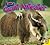I am a Giant Anteater