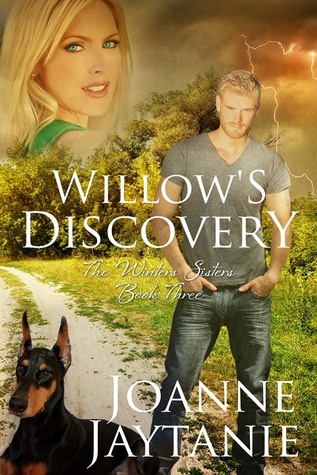 Willow's Discovery  (The Winters Sisters #3)