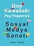 Sosyal Medya Sanatı
