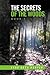 The Secrets of the Woods: A Magical Suspense Book 1