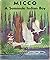 Micco: A Seminole Indian Boy