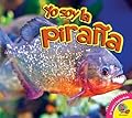 Yo Soy la Piraña / I am a Piranha