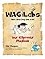 WagiLabs Kidpreneur PlayBook: "Kids Changing the World, One Idea at a Time!"