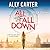 All Fall Down by Ally Carter