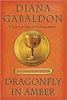Dragonfly in Amber
