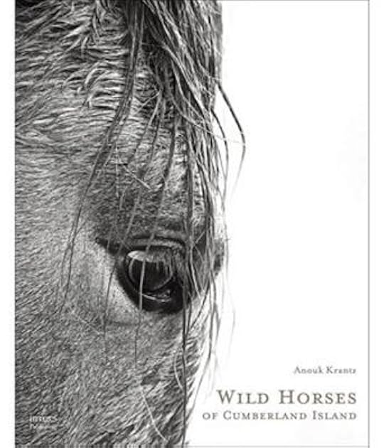 Wild Horses of Cumberland Island