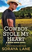 Cowboy Stole My Heart