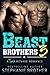Beast Brothers 3 (Beast Bro...