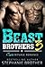 Beast Brothers 3 by Stephanie Brother