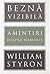 Beznă vizibilă. Amintiri despre nebunie by William Styron