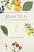 Irish Trees: Myths, Legends & Folklore