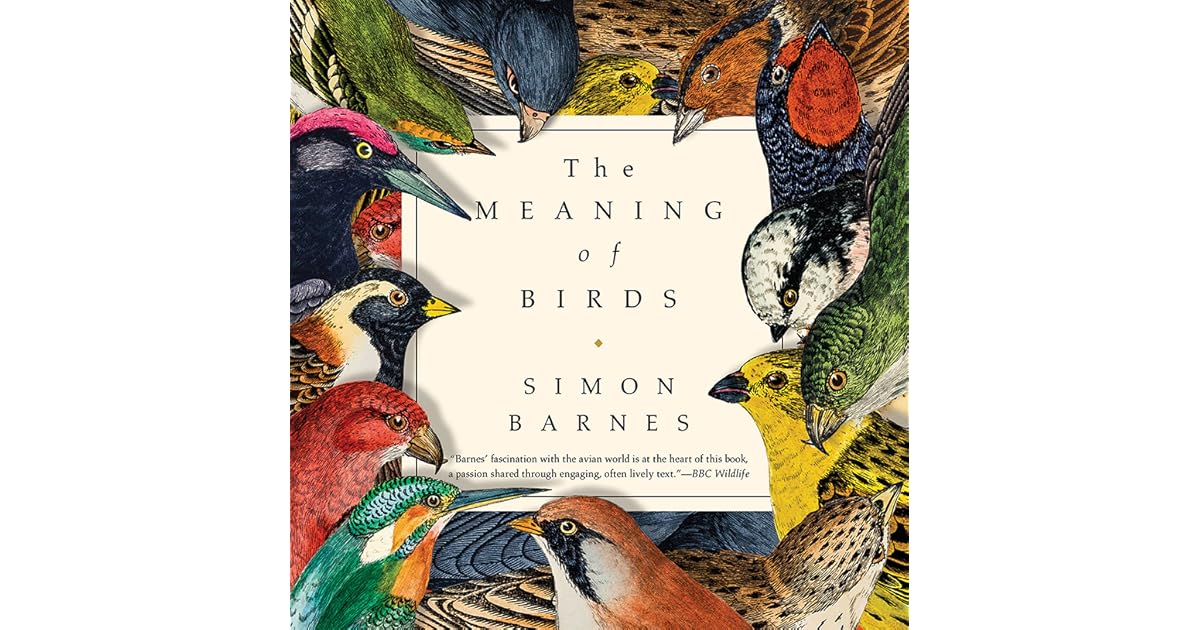 The Meaning of Birds by Simon Barnes