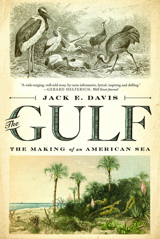 The Gulf: The Making of An American Sea