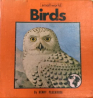 Birds (Small World)