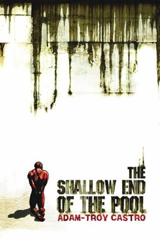 The Shallow End of the Pool (Paperback)