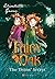 The Twins' Secret (Fairy Oa...