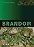 Brandom (Key Contemporary Thinkers)