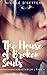 The House of Broken Souls: ...