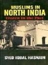 Muslims in North India by Syed Iqbal Hasnain