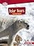 Polar Bears on the Hunt (Se...