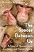 The Spaces Between Us: A St...