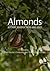 Almonds: Botany, Production and Uses