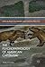 The Psychopathology of American Capitalism (Critical Political Theory and Radical Practice)