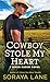 Cowboy Stole My Heart (River Ranch, #1)