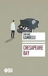 Chesapeake bay by Emiliano Gambelli