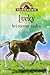 Lucky het nieuwe veulen (Tilly's Pony Tails, #5)