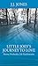 Little Joey’s Journey To Love by J.J.        Jones