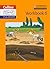 Cambridge Primary English as a Second Language Workbook: Stage 6 (Collins International Primary ESL)