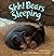 Shh! Bears Sleeping