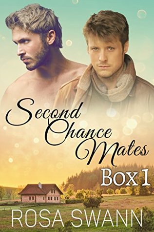 Second Chance Mates Box 1 (Second Chance Mates, #1-4)