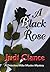 A Black Rose by Judi Ciance