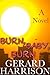 Horror Fiction: Burn, Baby,...