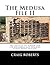 The Medusa File II: The Politics of Terror and the Oklahoma City Bombing