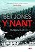 Y Nant by Bet Jones