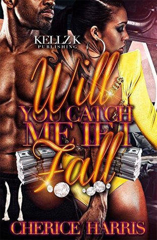 Will You Catch Me If I Fall (Kindle Edition)